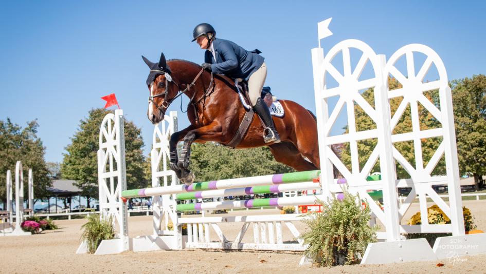 OTTB Thoroughbred Makeover Retired Racehorse Project ex-racehorse West Point Thoroughbreds Decorated Invader Cavalry Charge Finn Calvin Termer Knehr aftercare hunter jumper dressage Horse Park ribbon 